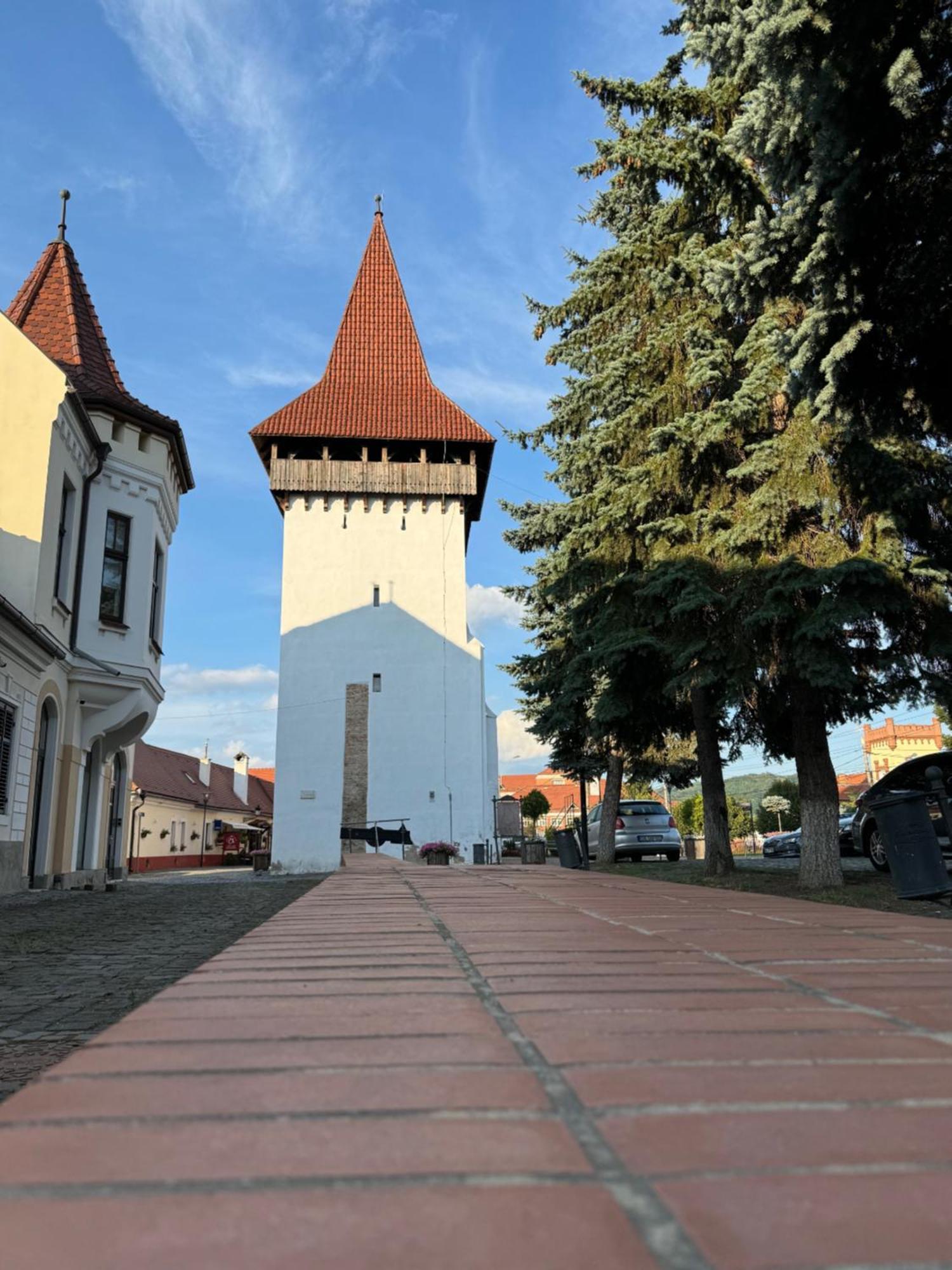 Alexander Cozy Apartment Free Private Parking Mediaş Екстериор снимка